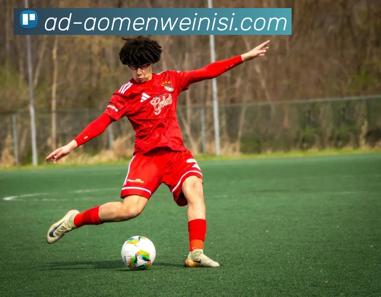 App Interface Preview